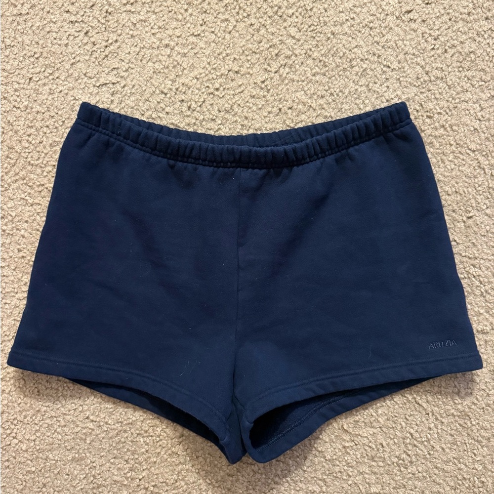 Aritzia Women's Navy Shorts